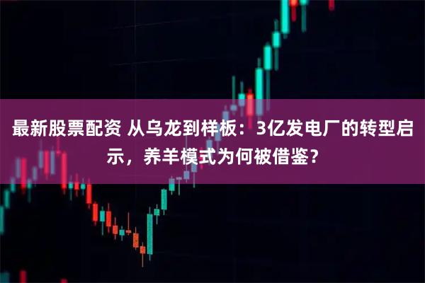 最新股票配资 从乌龙到样板：3亿发电厂的转型启示，养羊模式为何被借鉴？